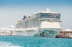 Norwegian Cruise passenger falls into sea and ship detached from pier after being battered by strong winds