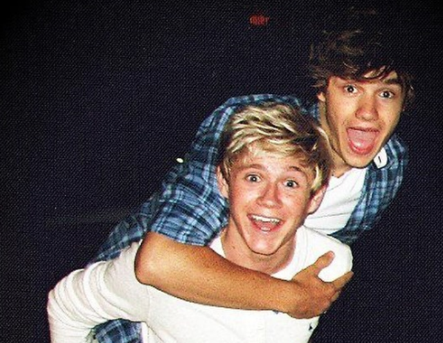 <p>Niall Horan with his One Direction bandmate Liam Payne</p>