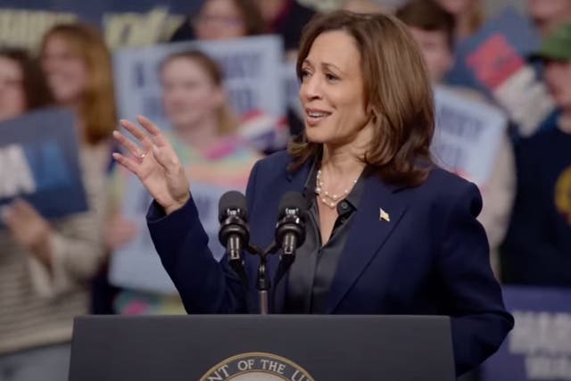 <p>Harris dressed down a dissenting rallygoer and Donald Trump with one remark at a La Crosse, Wisconsin rally  </p>