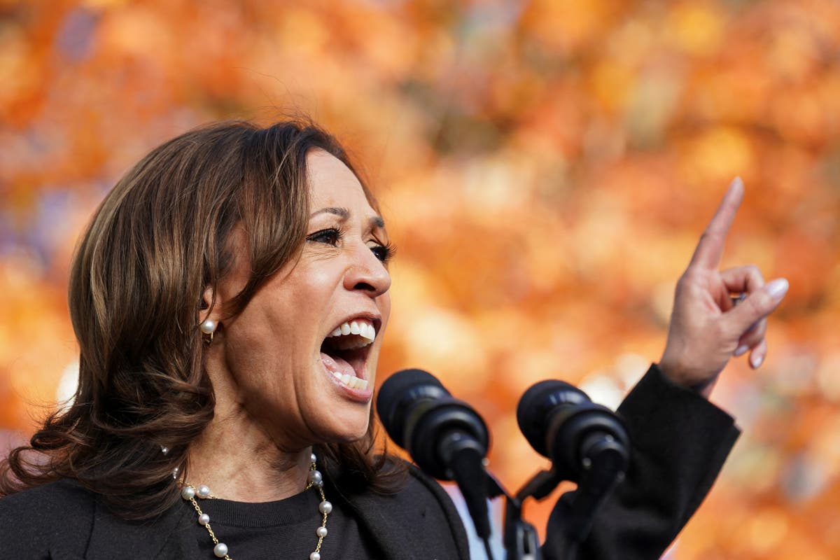 Harris is turning to video games and sports betting to try and win back male voters