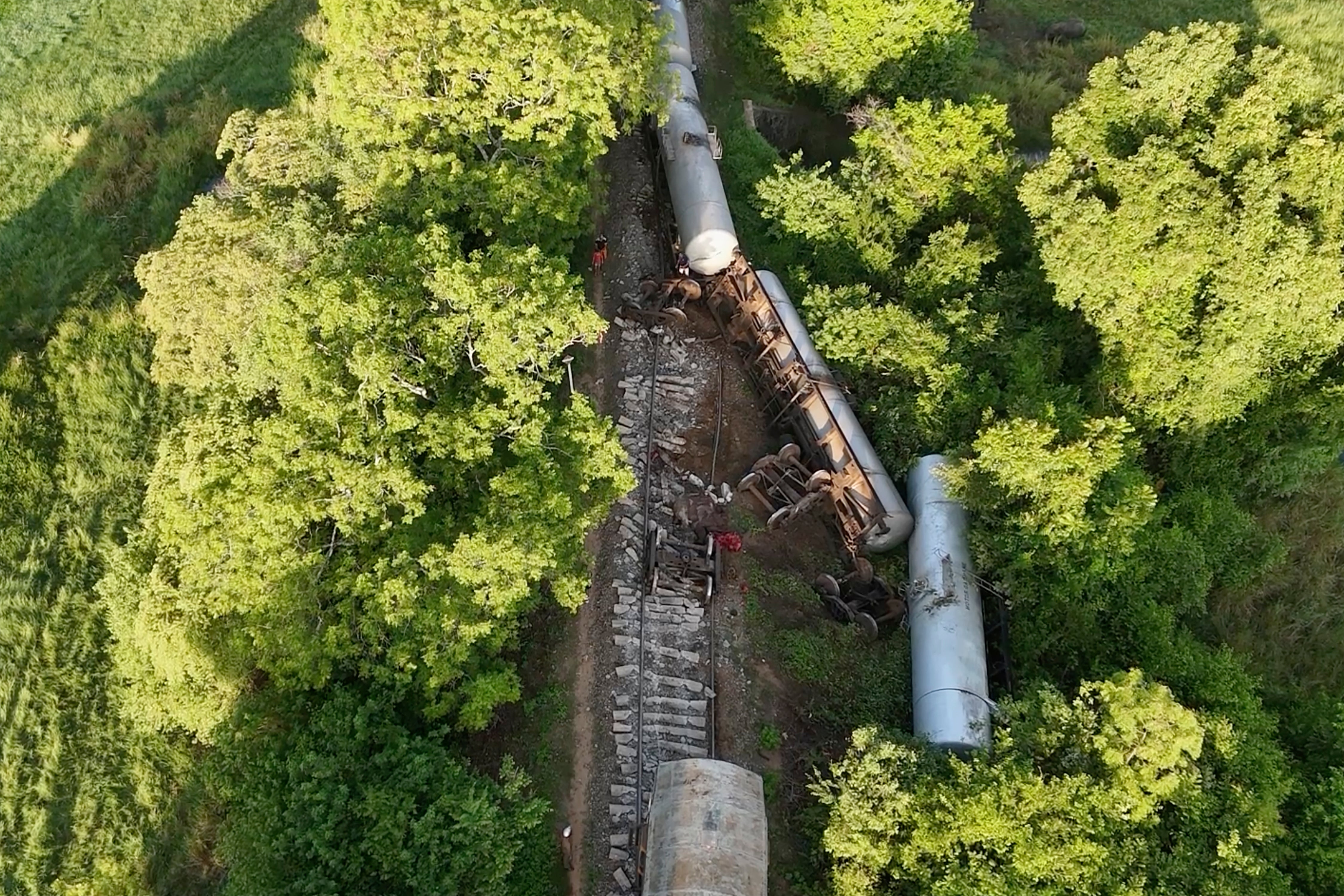 The train driver said that the herd of nearly 20 elephants suddenly tried to cross over the railway track