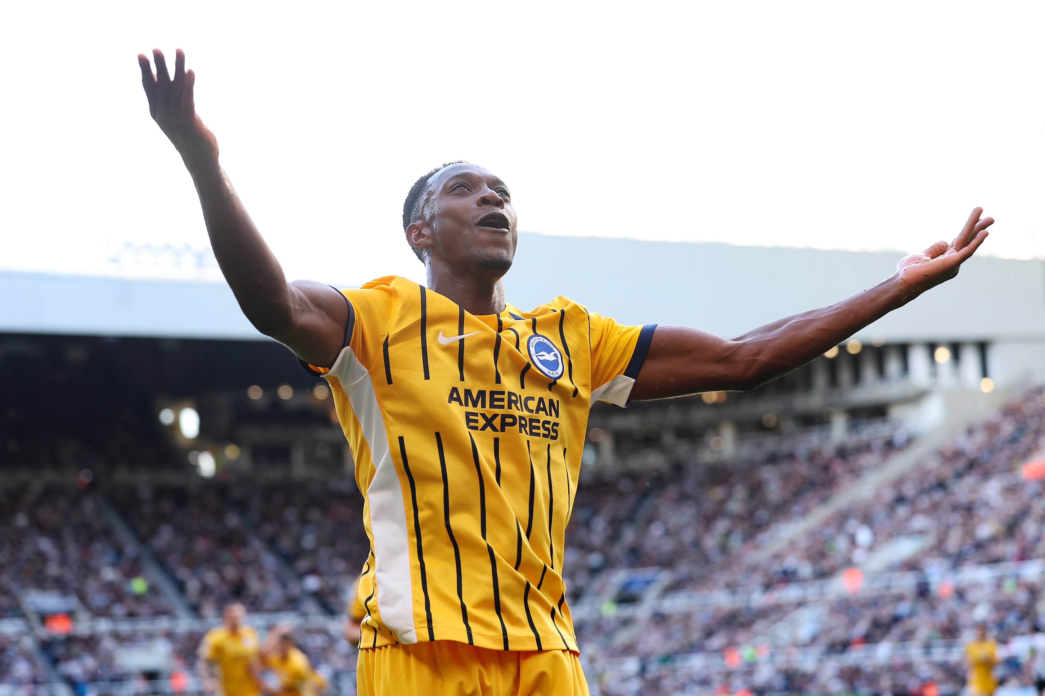 Danny Welbeck scored the only goal as Brighton edged past Newcastle United