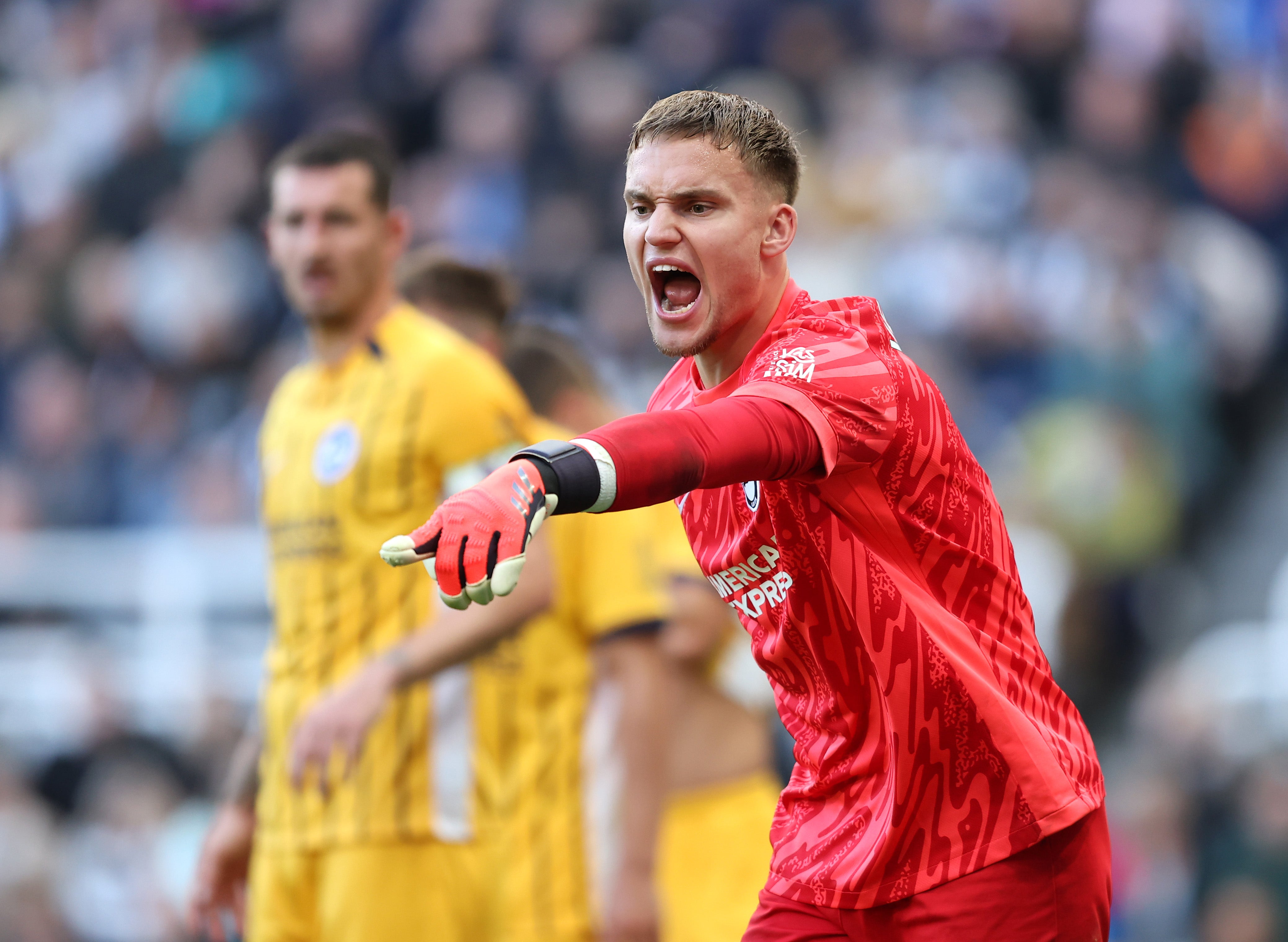 Bart Verbruggen had a fine game, keeping a clean sheet for the Seagulls