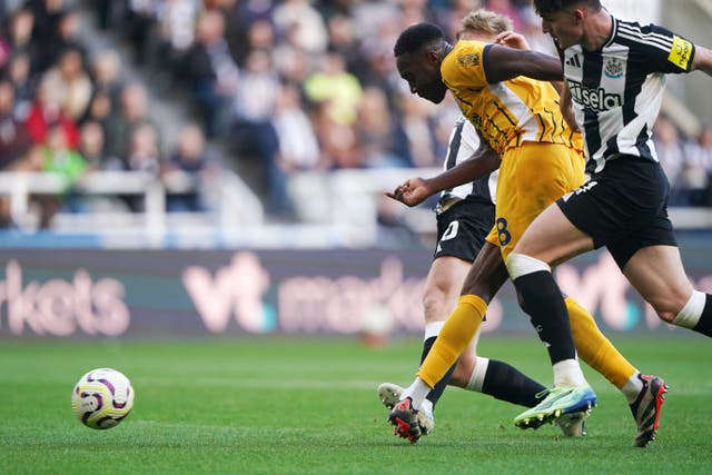 Danny Welbeck scores the winner for Brighton (Owen Humphreys/PA)