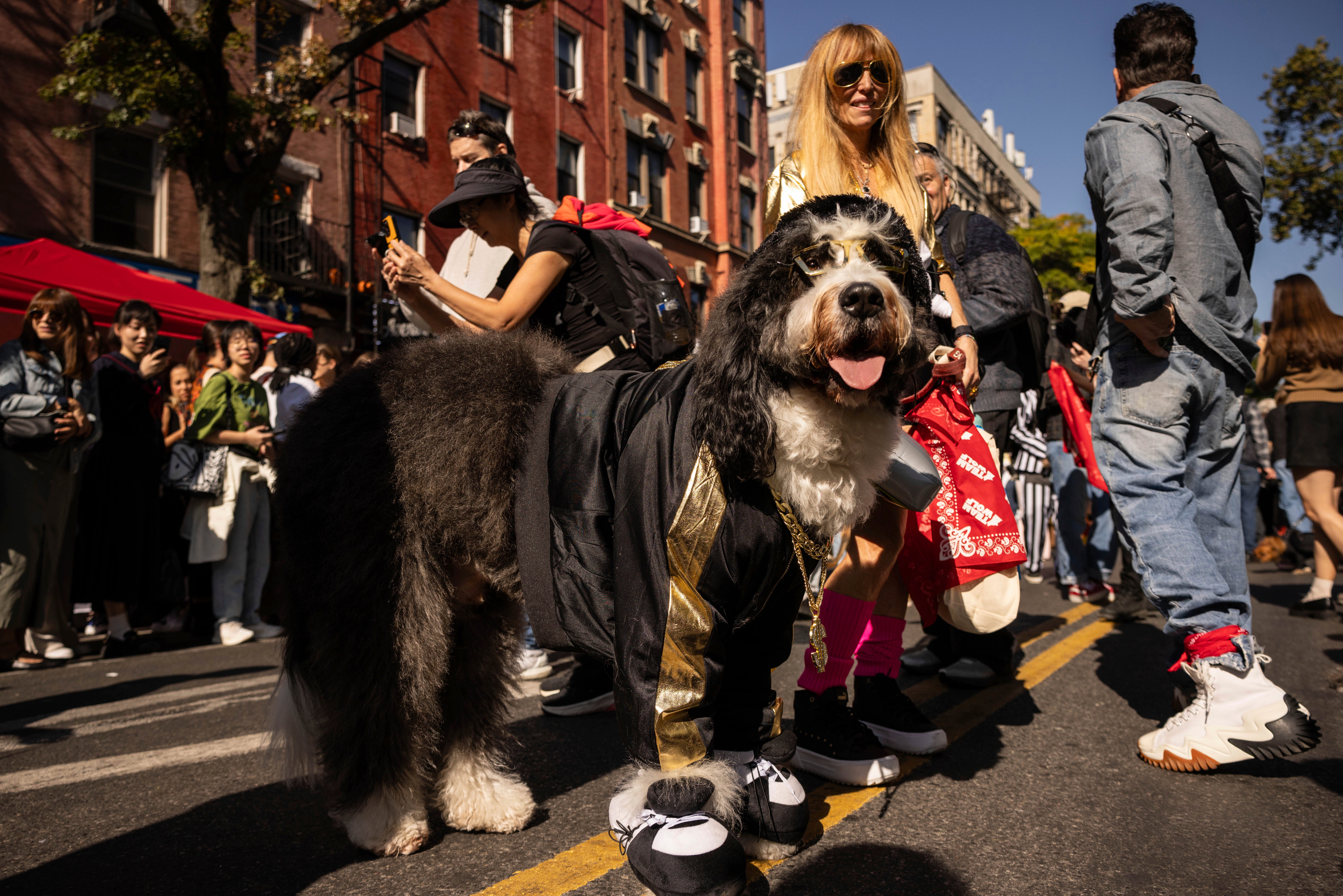 NYC Halloween Dog Parade