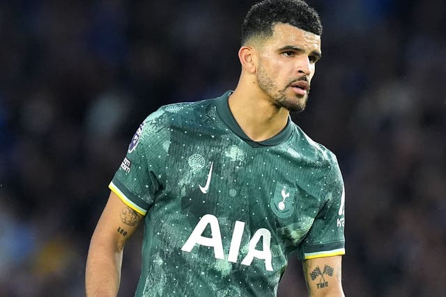 Dominic Solanke has quickly become a key figure for Tottenham (Gareth Fuller/PA)