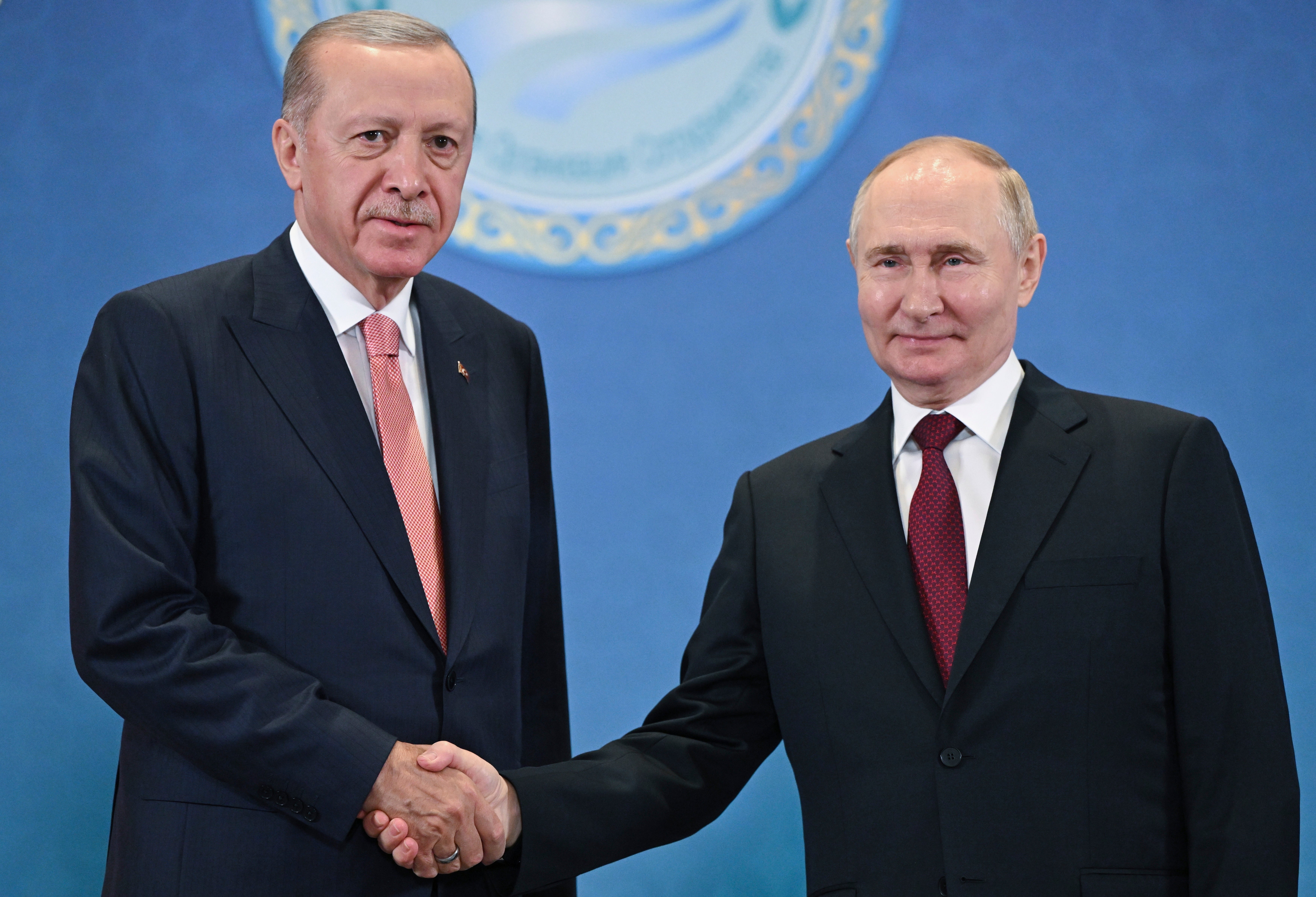 Mr Erdogan and Putin pose for a photo at the BRICS summmit