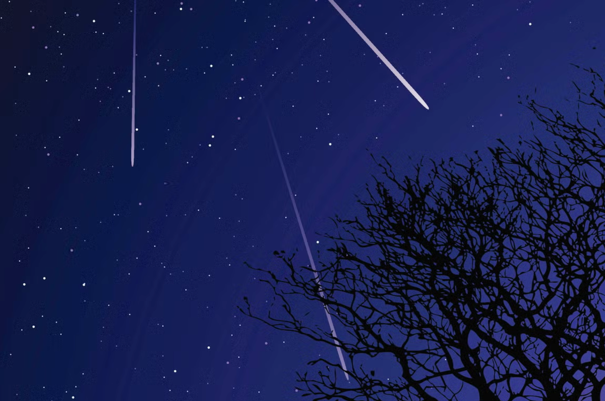 Orionids meteor shower to peak tonight in ‘shooting star’ spectacle