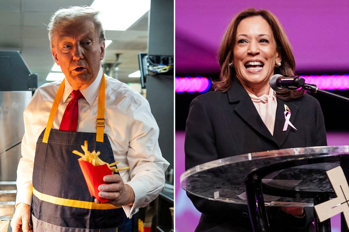 Trump and Harris locked in tight races in swing states as Election Day nears: Live