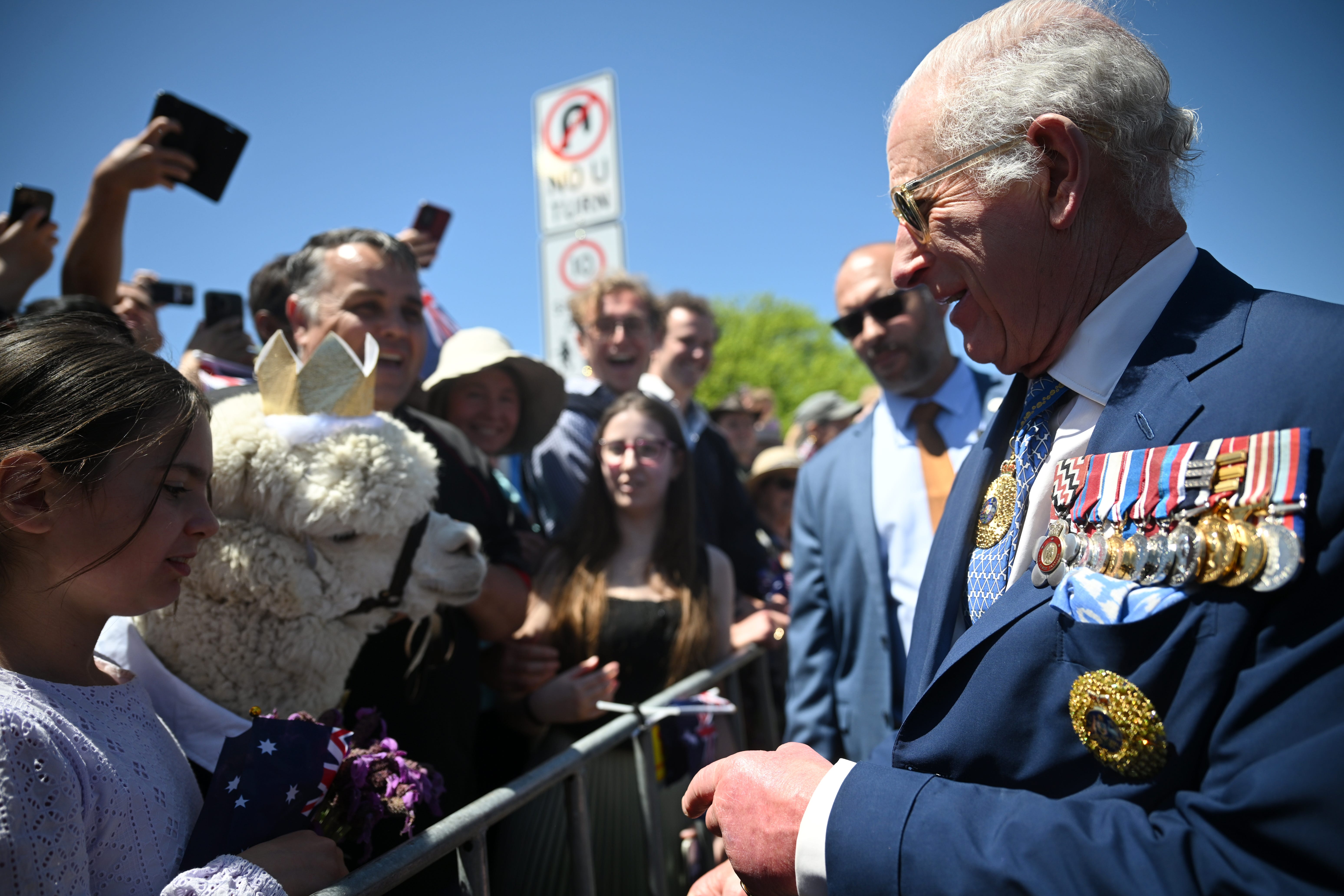 The King is greeted by an alpaca in a crown at the Australian War Memorial in Canberra (Victoria Jones/PA)