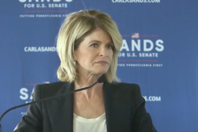 <p>Carla Sands, the former ambassador to Denmark under the Trump administration, has shared fringe conspiracy theories about climate change</p>