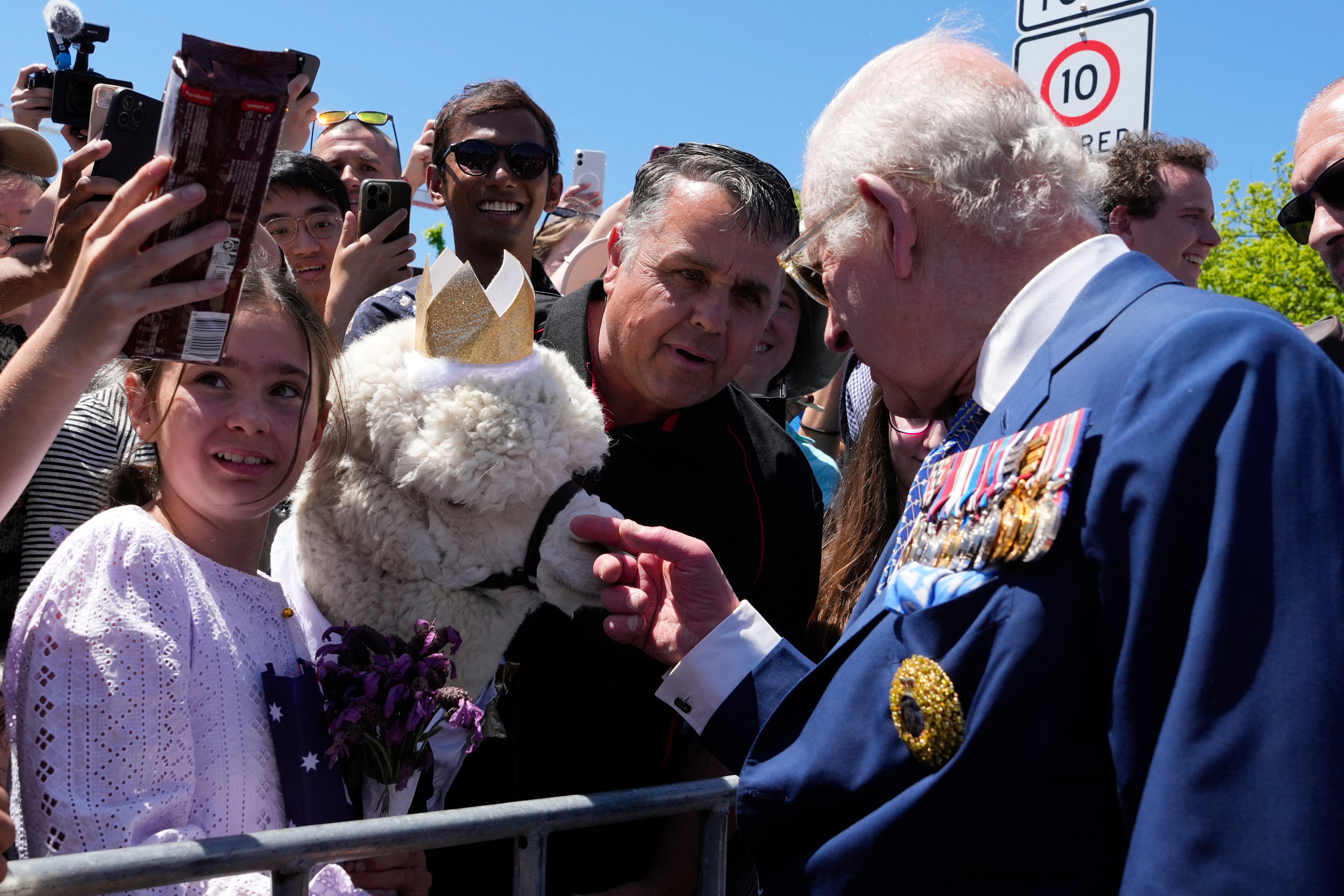 Hephner werd door zijn eigenaar omschreven als een 'pro-monarchie'-alpaca.