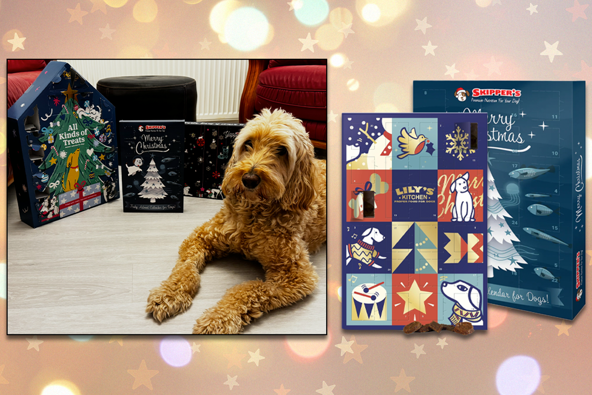 Best dog advent calendars for the pawfect Christmas countdown