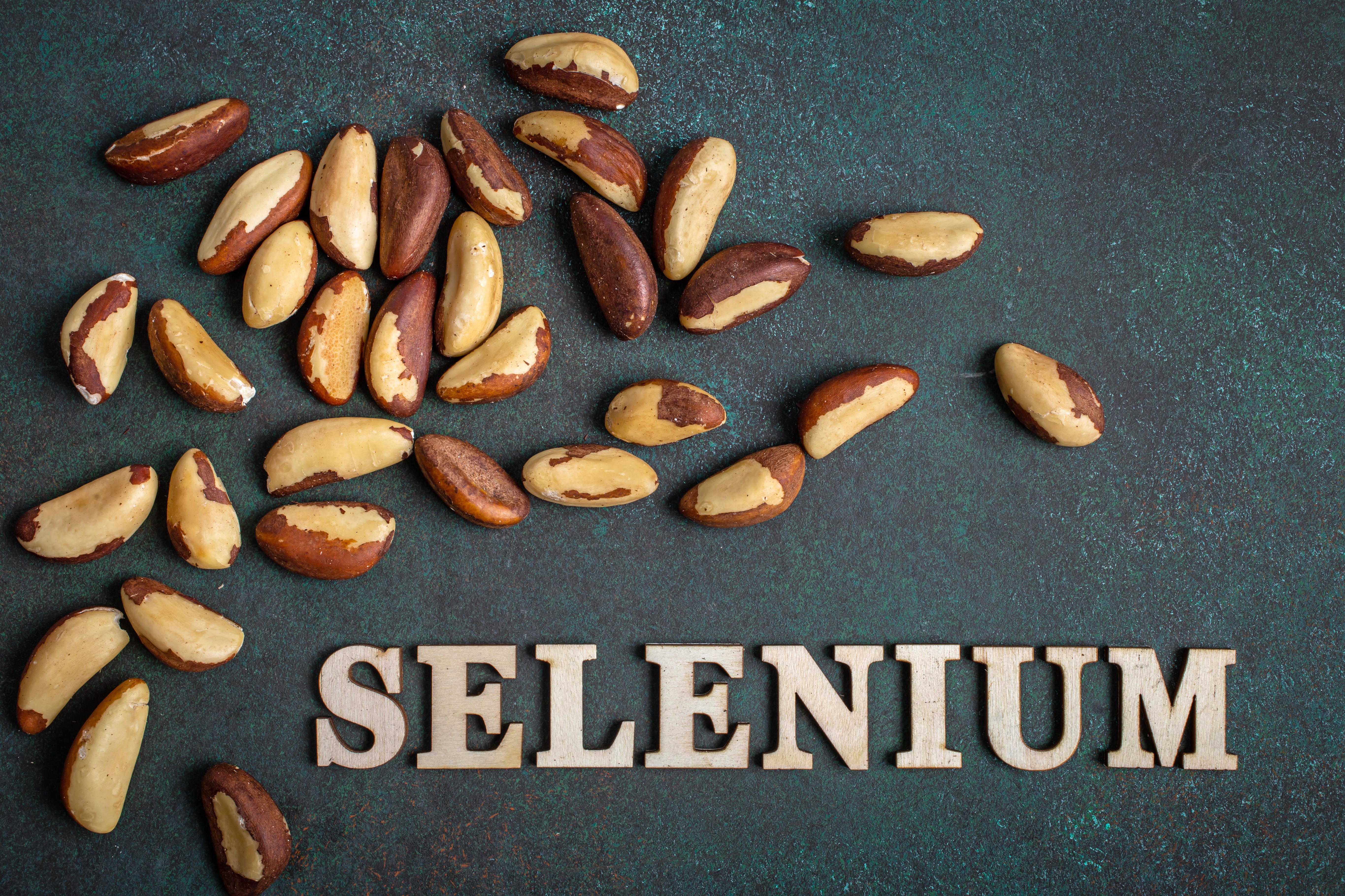 Brazil nuts are high in selenium (Alamy/PA)