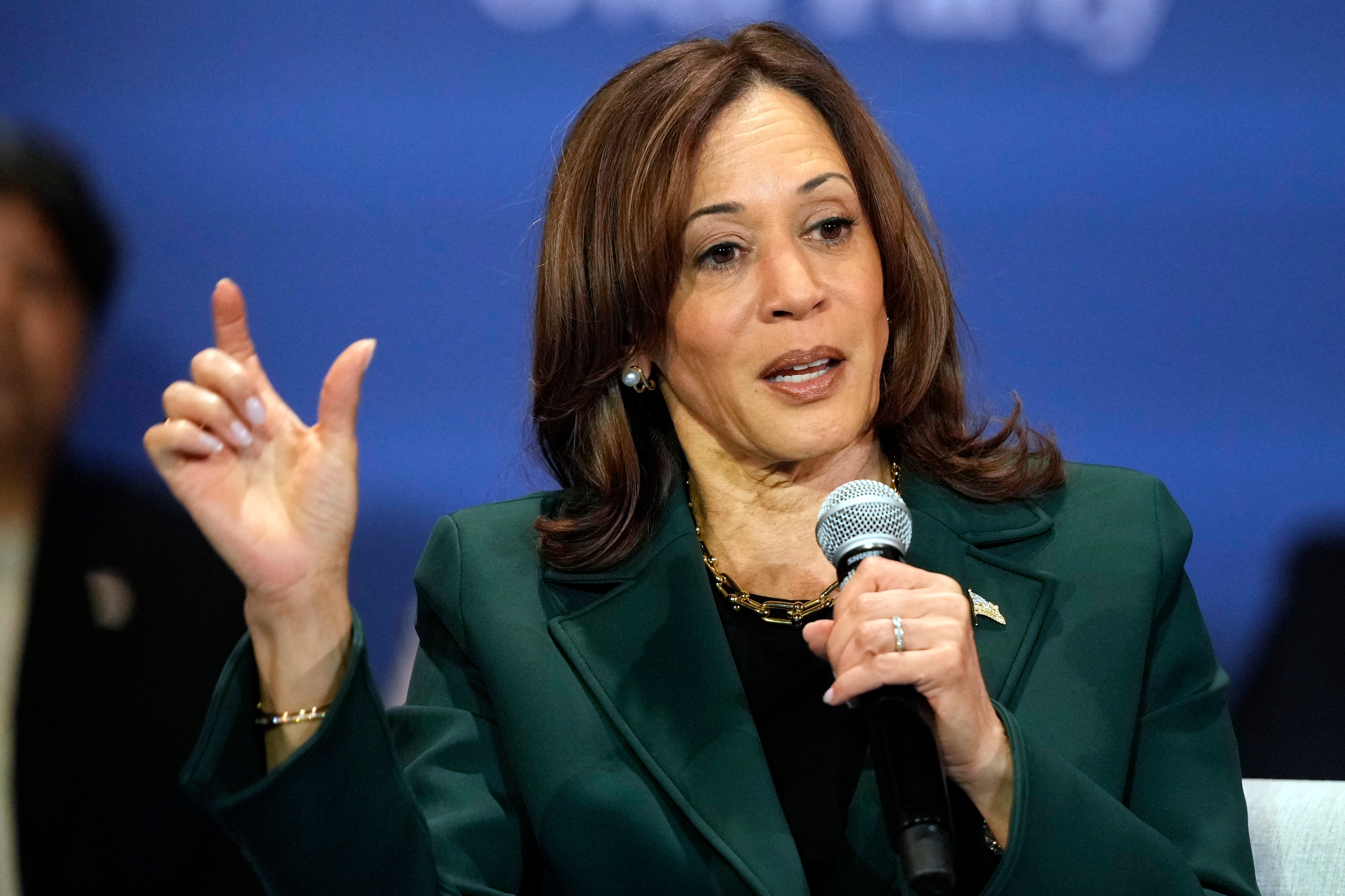 Election 2024 Harris
