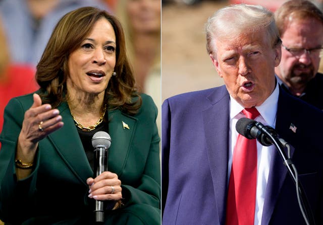 <p>Kamala Harris is leading Donald Trump by 11 points in favorability among registered voters, a new poll reveals</p>