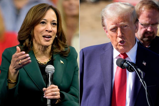 <p>Según una nueva encuesta, Kamala Harris aventaja a Donald Trump por 11 puntos en términos de aceptación y confianza</p>