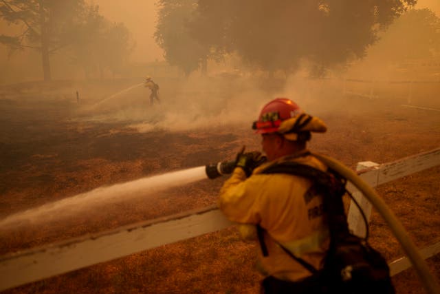 <p>Firefighters work against the Felicia fire in southern California earlier this month. Wildfire-related deaths attributable to climate change have increased over the last 60 years, researchers said this week</p>