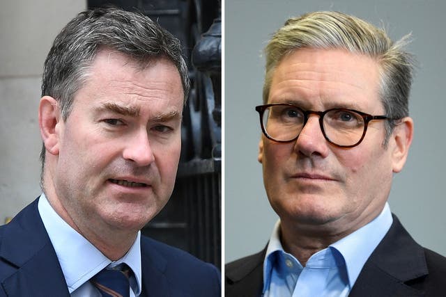 <p>It is a clever appointment politically, because Gauke carries some cross-party weight as a former Tory justice secretary</p>