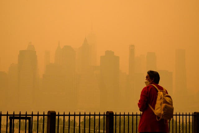 <p>A person wears a mask in a smoke-filled New York City. When babies are exposed to polluted air, they may be more likely to develop a nut allergy, a new study reveals</p>