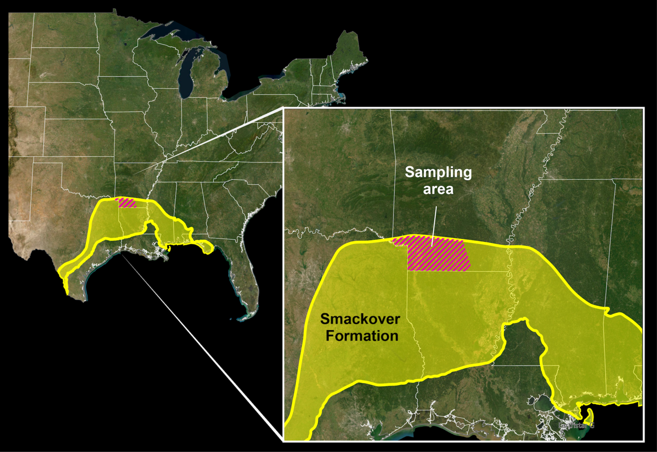 A map of the U.S. shows the Smackover Formation and the scientists’ sampling area in southwestern Arkansas. The formation is in yellow, and the sampling area is in red. The U.S. Geological Survey said that the source of lithium in Arkansas could potentially meet the projected 2030 world demand for lithium in car batteries nine times over.