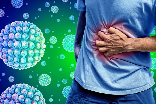 One of the main symptoms of norovirus is stomach cramps (Alamy/PA)