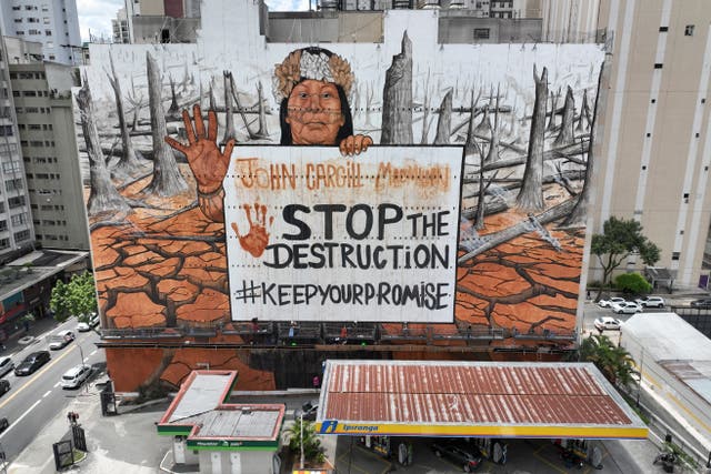 Brazil Amazon Drought Mural
