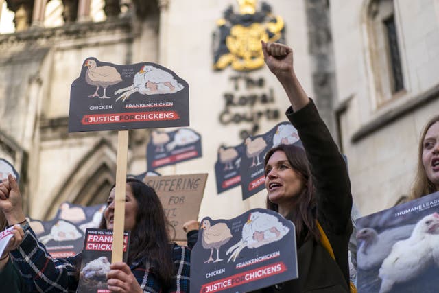 Animal welfare supporters outside the Royal Courts Of Justice in London, where animal welfare charity the Humane League is challenging the Government (Ben Whitley/PA)