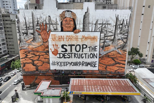 BRASIL-MURAL-CAMBIO CLIMÁTICO