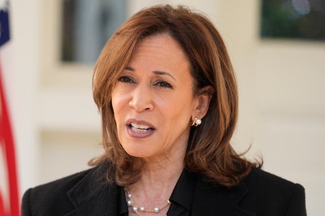 <p>Election 2024 Harris</p>