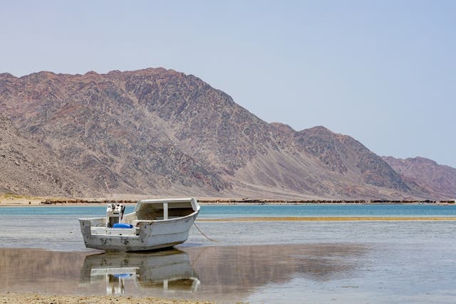 <p>Ras Abu Galum in the Sinai Peninsula offers an escape from the tourist crowds on the Red Sea coast </p>