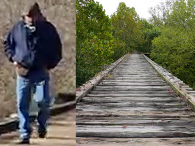 <p>A grainy image of a man who came known to be ‘Bridge Guy’ was taken from a video on one of the victims’ phones and released by Indiana State Police following the murders in an effort to track down the suspect</p>