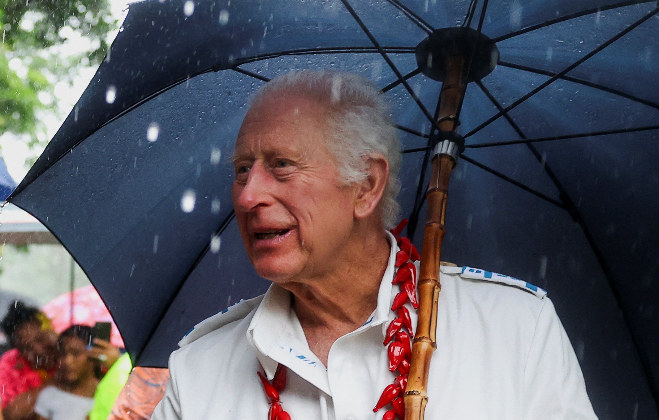 El rey Carlos de Gran Bretaña mira mientras sostiene un paraguas para protegerse de la lluvia mientras visita el Parque Nacional O Le Pupu'Pue, en Sa'agafou, Samoa, el 24 de octubre de 2024.