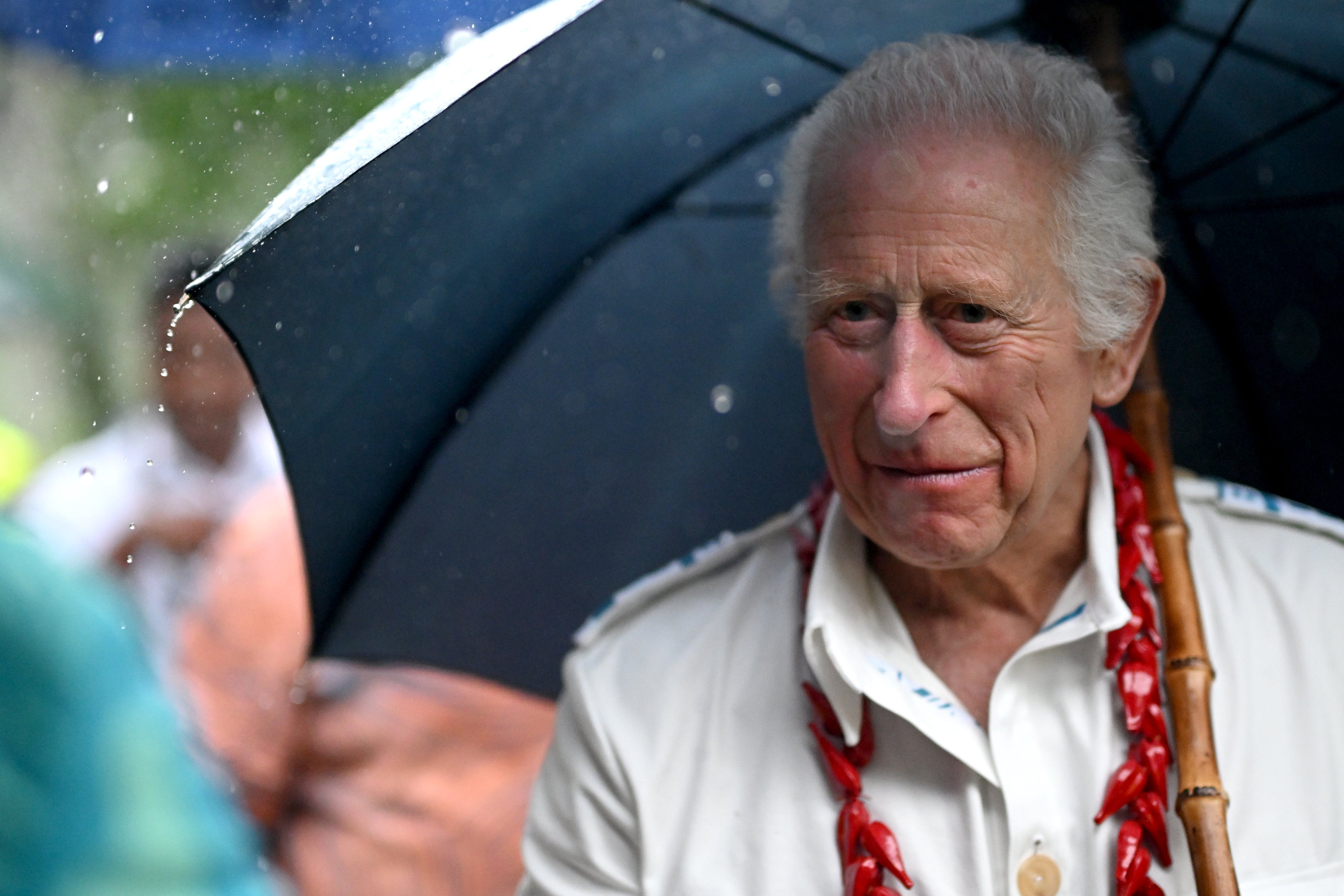 El rey Carlos visita el Parque Nacional O Le Pupu-Pue, el parque más antiguo del país, el 24 de octubre de 2024 en Apia, Samoa.