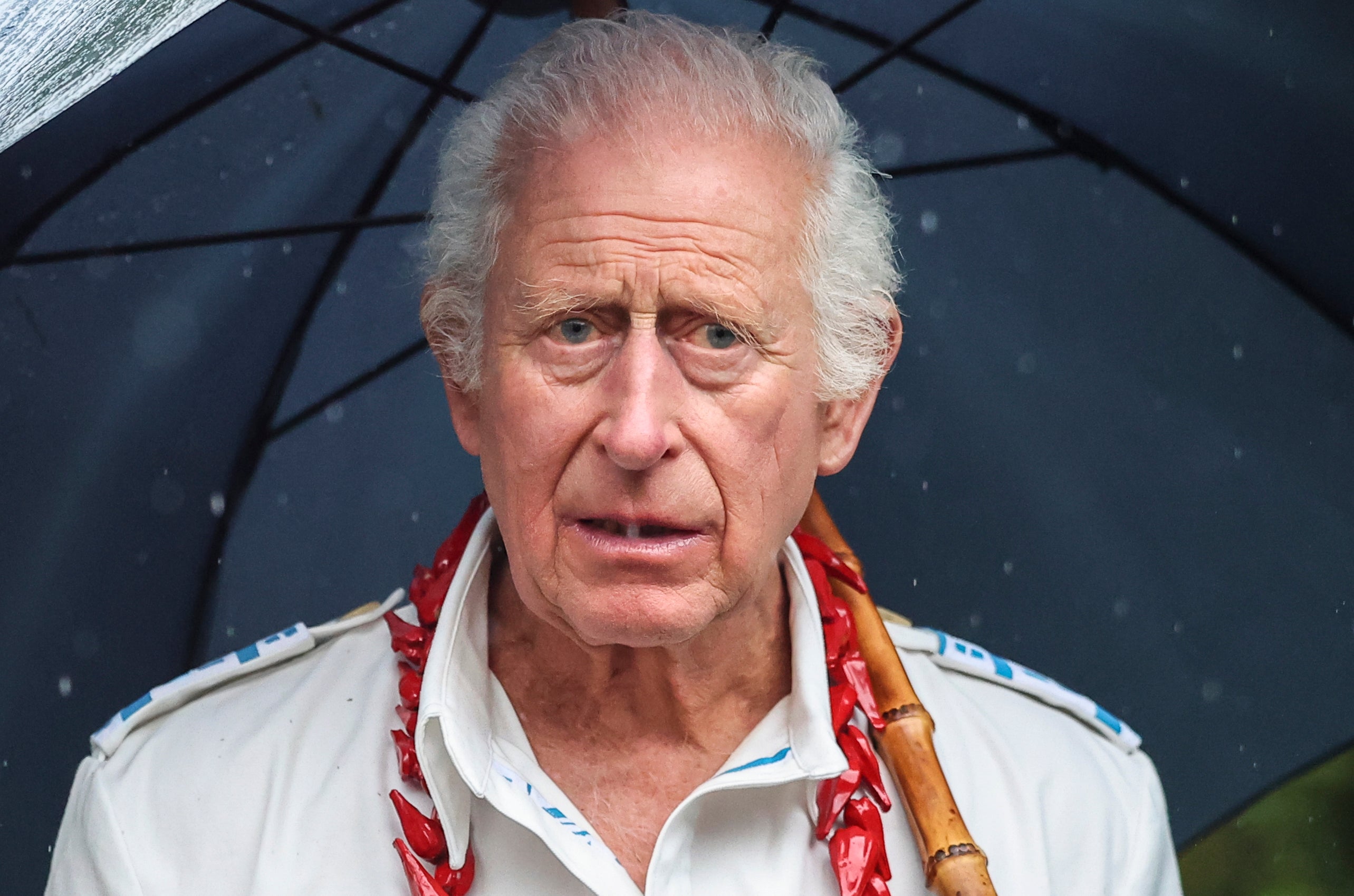 King Charles uses an umbrella to shelter from the rain during his visit to O Le Pupu'Pue National Park