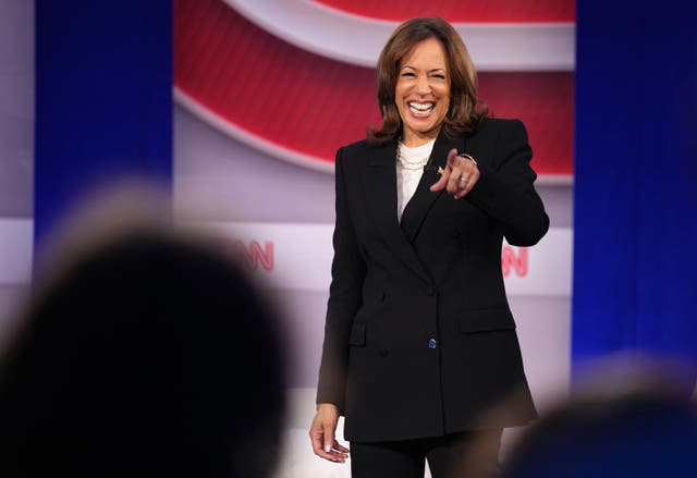 <p>A top Democratic strategist and presidential campaign veteran says he’s ‘certain’ Kamala Harris will win the 2024 presidential election</p>