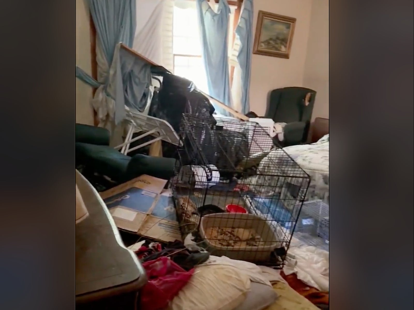 An animal cage can be seen amongst the clutter inside a Wildwood, Missouri home where nearly 175 cats were living with an elderly man and his relative