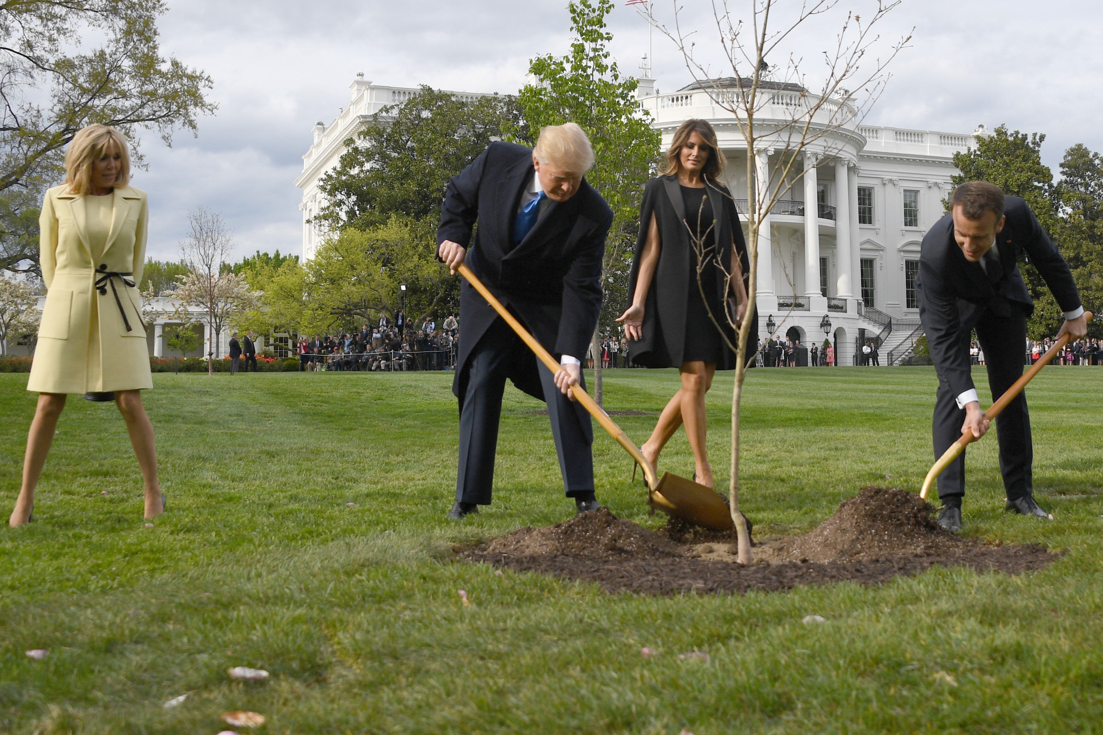 Donald Trump e o presidente francês Emmanuel Macron plantam uma árvore observada por Melania e a esposa de Macron, Brigitte, no terreno da Casa Branca em 2018