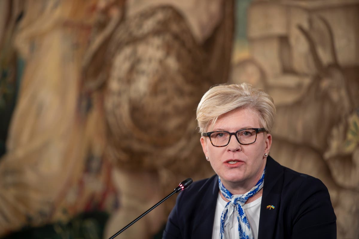 Lithuania’s crucial parliamentary elections: What to watch for in the final round