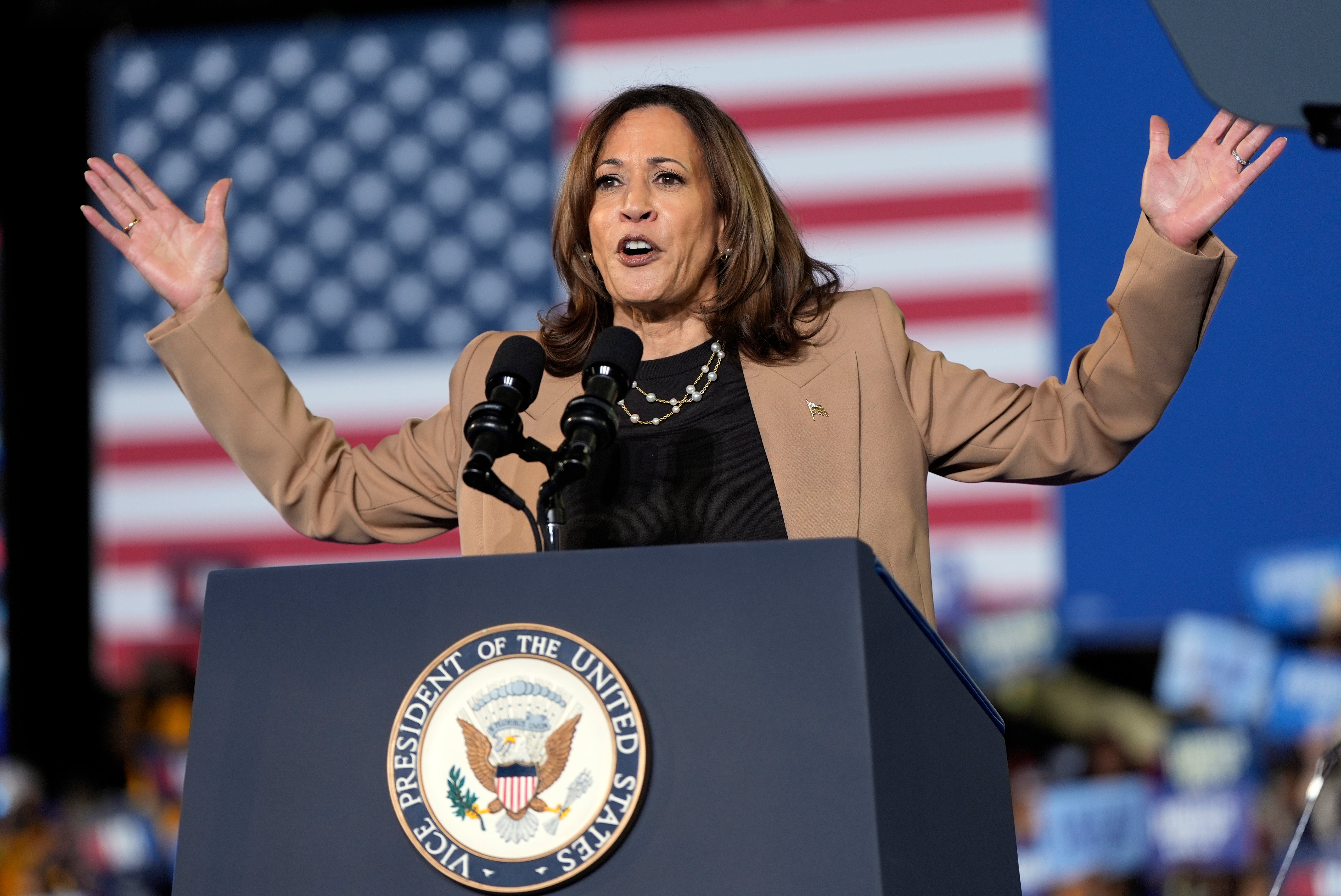 The Democratic candidate and current vice-president speaks at a campaign rally in swing-state Georgia