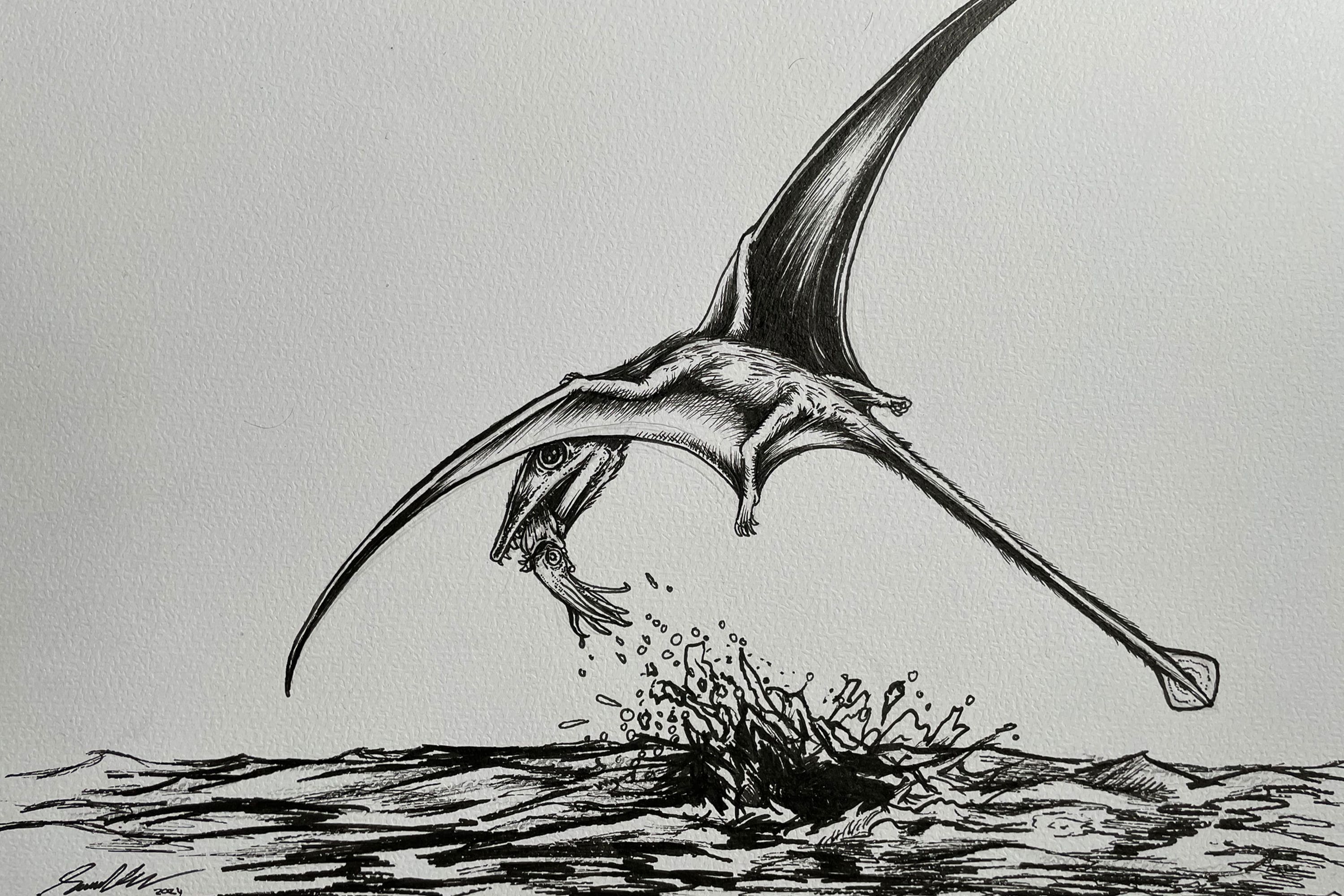 The pterosaur Campylognathoides hunting squid (University of Portsmouth/Samuel Cooper)