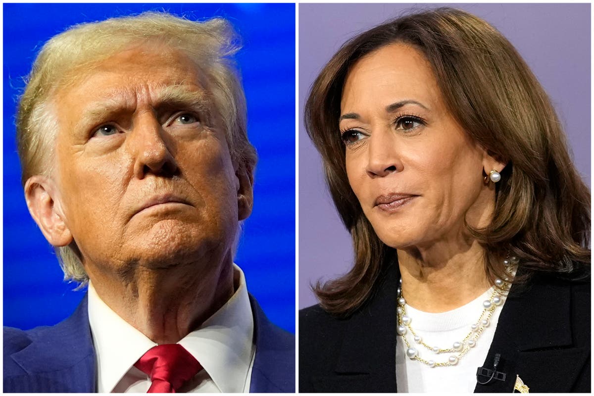 Trump and Harris deadlocked in polls as both campaign in Texas: Election 2024 live