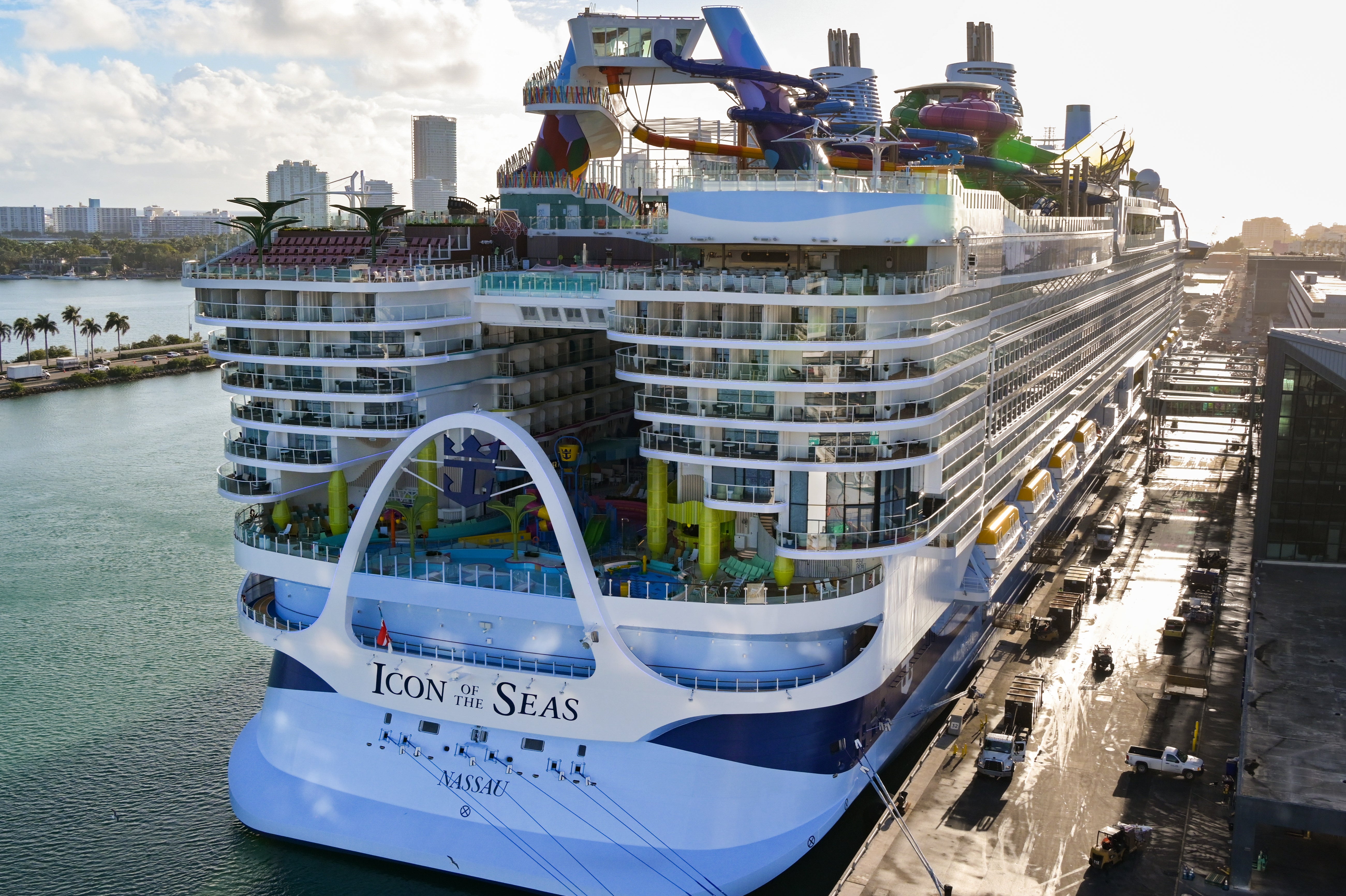 A crew member on Royal Caribbean’s Icon of the Seas stabbed a fellow crew member before jumping overboard to his death, police say