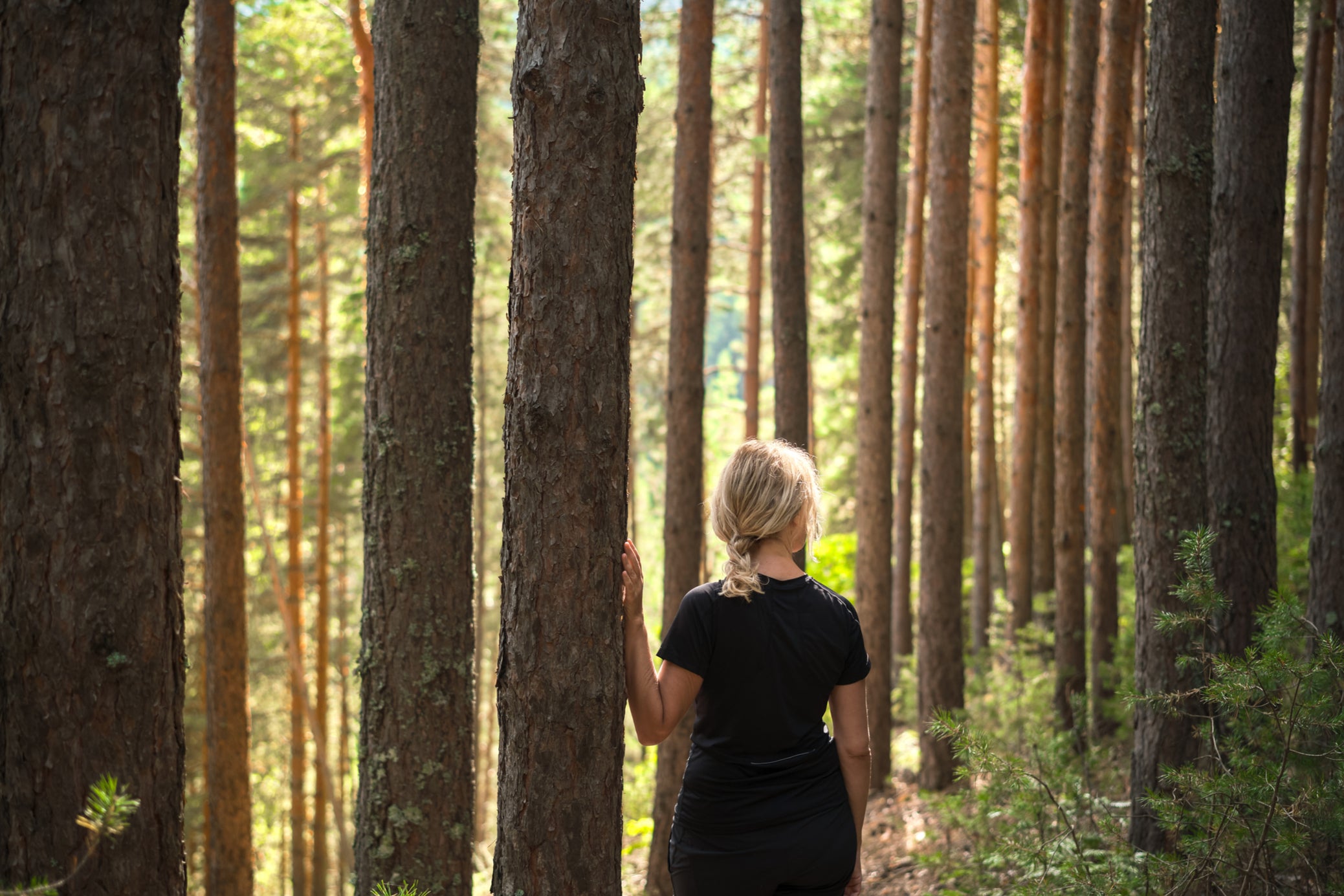 Reconnect with nature by taking part in forest bathing