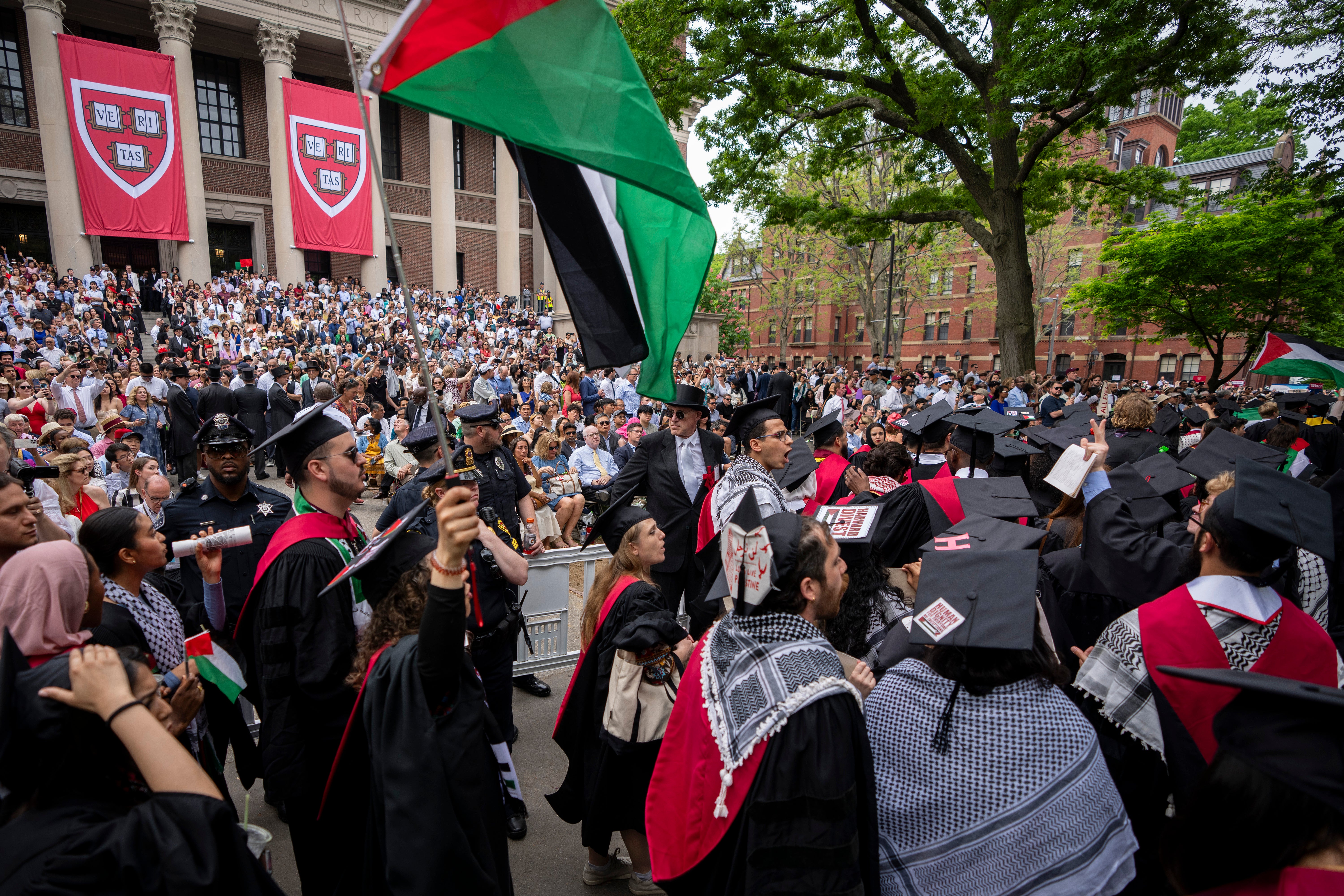 Campus-Protests-Harvard