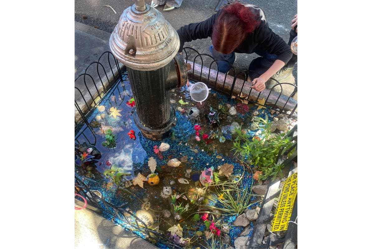 An abrupt goodbye to a guerilla goldfish aquarium beneath a leaky Brooklyn fire hydrant