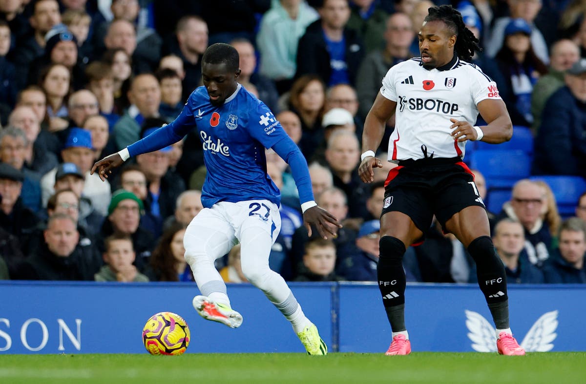 Everton vs Fulham LIVE: Latest Premier League updates