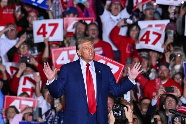 <p>Former US President and Republican presidential candidate Donald Trump speaks at a campaign rally at the Suburban Collection Showplace in Novi, Michigan, on October 26, 2024</p>