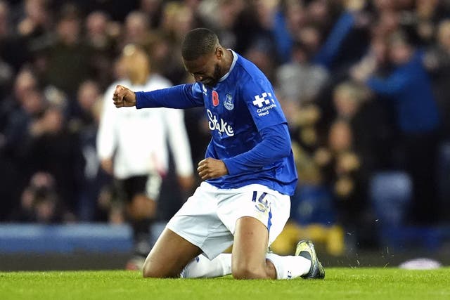 Beto celebrates scoring Everton’s equaliser against Fulham (Nick Potts/PA)