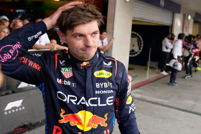 Max Verstappen was delighted with his qualifying result (Moises Castillo/AP)